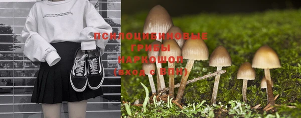 соль курить ск Алексеевка