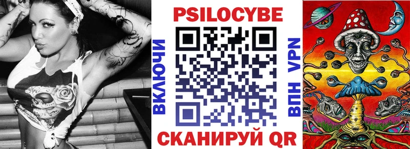 где найти наркотики Десногорск Псилоцибиновые грибы GOLDEN TEACHER