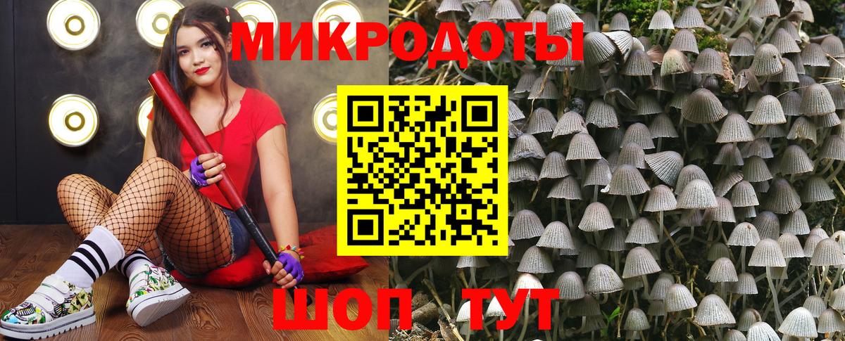 Десногорск  Галлюциногенные грибы мицелий  Вход с VPN 