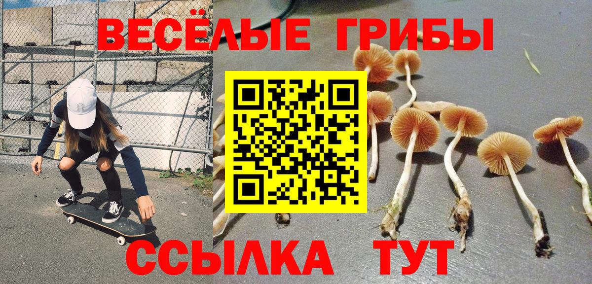 Псилоцибиновые грибы мицелий Десногорск